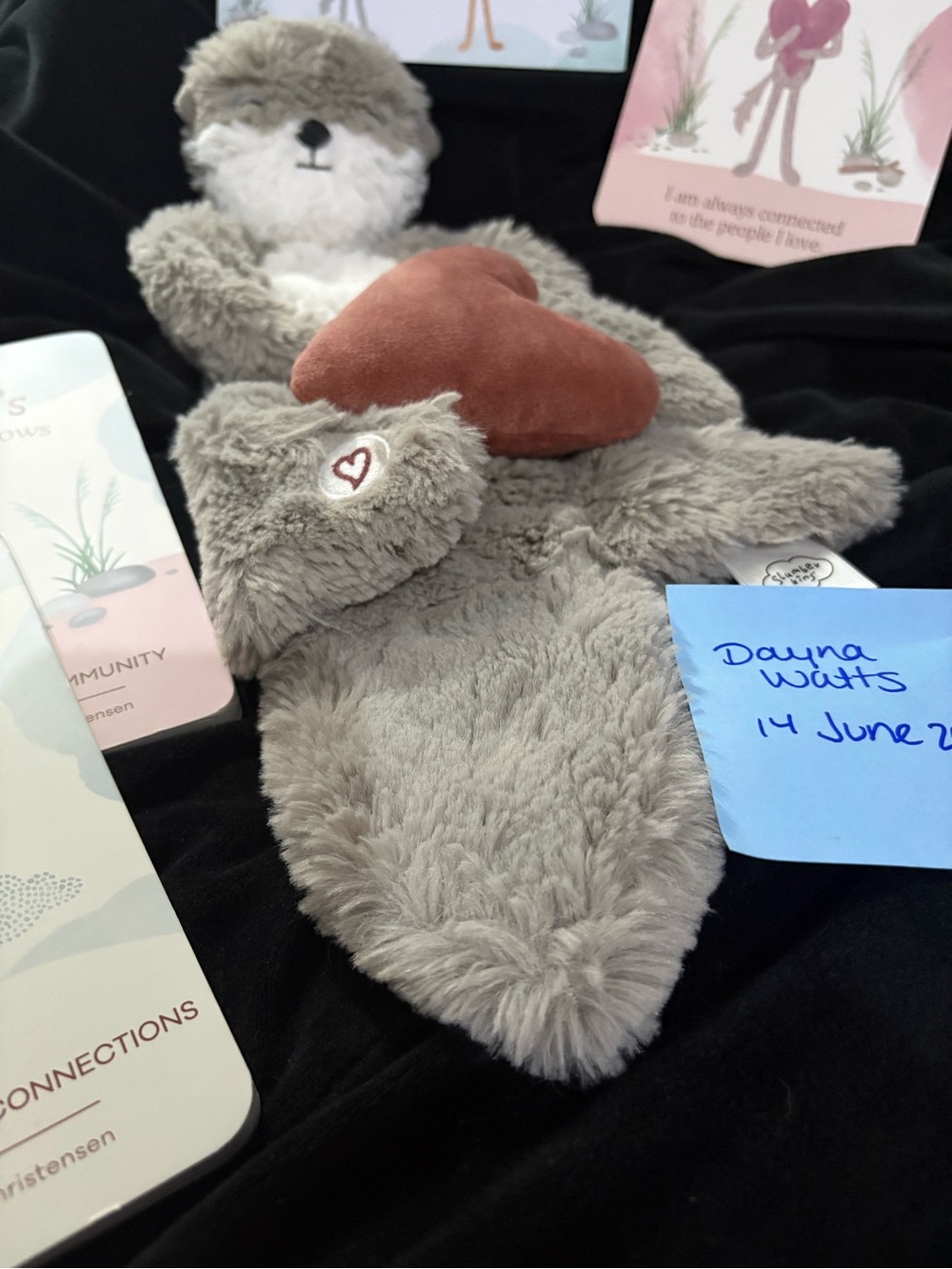 EUC Slumberkin Otter